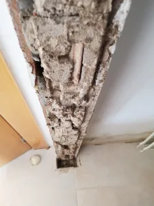 Termitas en el marco de una puerta Termitas en el marco de una puerta