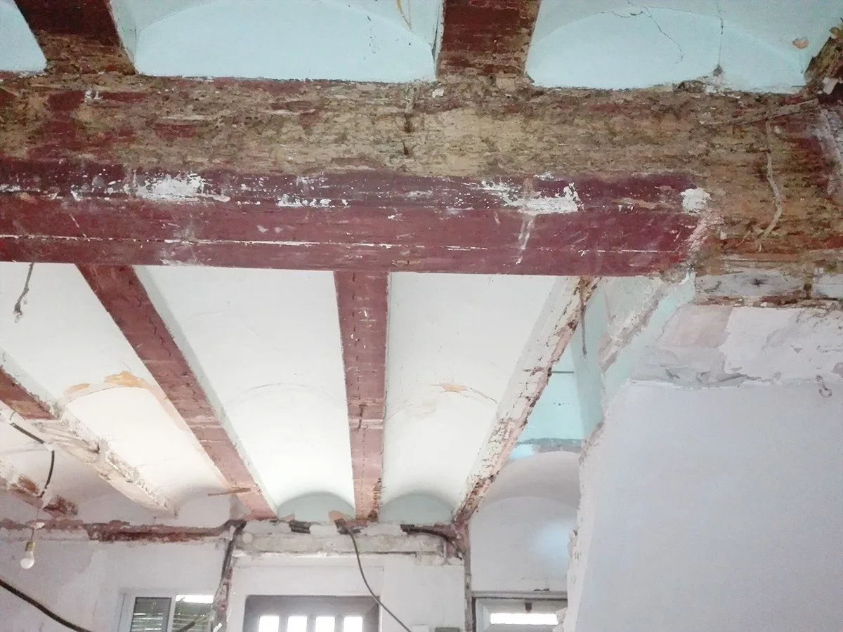 Problemas que pueden causar las termitas en nuestra casa Problemas que pueden causar las termitas en nuestra casa