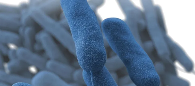 Problemas y tratamientos relacionados con la Legionella Problemas y tratamientos relacionados con la Legionella