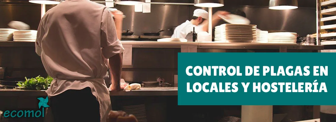 Las ventajas de contratar un control de plagas para tu negocio Las ventajas de contratar un control de plagas para tu negocio