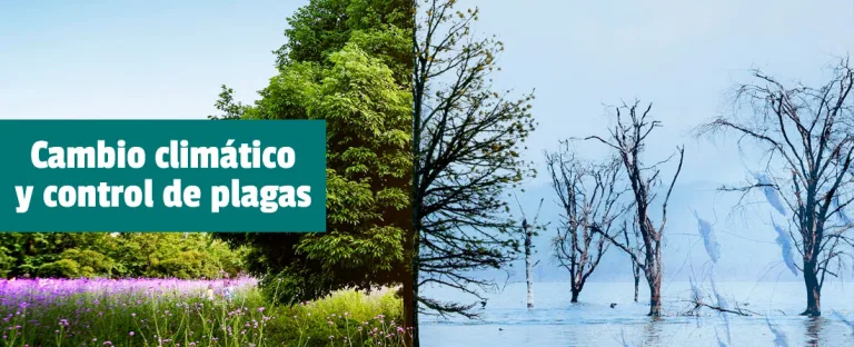 El cambio climático y el control de plagas