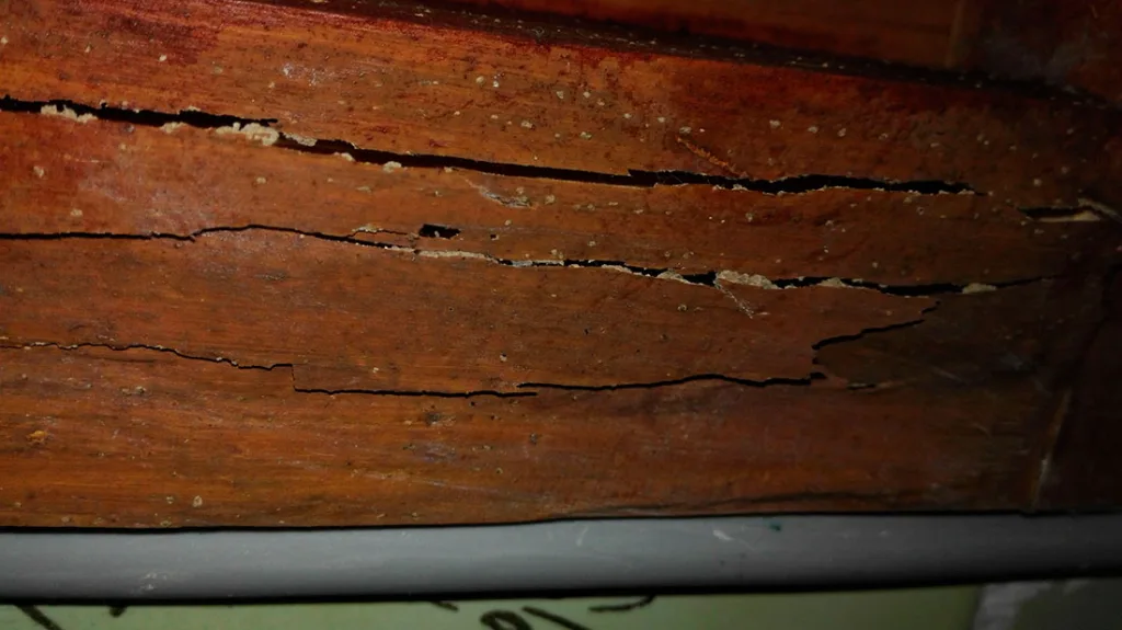 Madera sin tratamiento de termitas Madera sin tratamiento de termitas